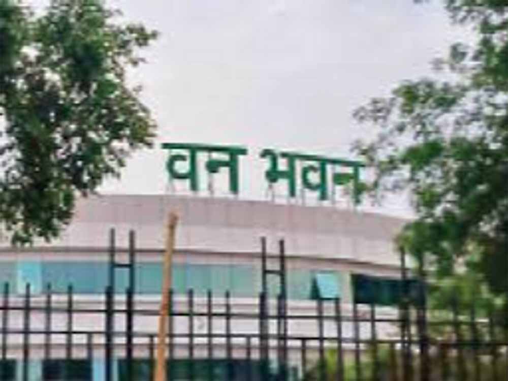 कमेन्डेशन डिस्क एवं प्रशस्ति-पत्र से सम्मानित होंगे वनकर्मी, वन भवन में आज होगा अलंकरण समारोह 1 van कमेन्डेशन डिस्क एवं प्रशस्ति-पत्र से सम्मानित होंगे वनकर्मी, वन भवन में आज होगा अलंकरण समारोह