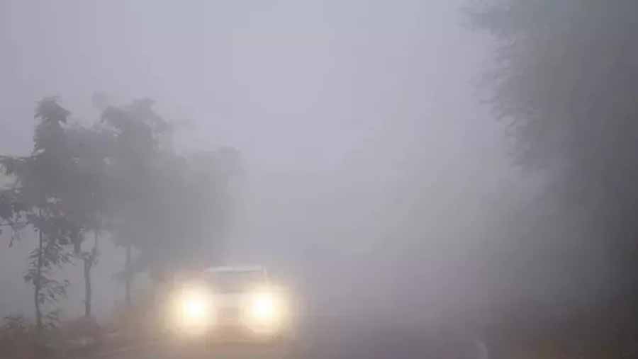 गौरेला पेंड्रा मरवाही में छाया घना कोहरा, वाहनों की रफ्तार थमी 1 1 296 गौरेला पेंड्रा मरवाही में छाया घना कोहरा, वाहनों की रफ्तार थमी