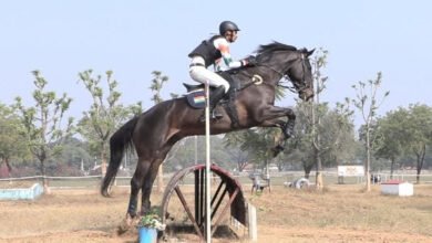 19A 5 राज्य घुड़सवारी अकादमी के राजू सिंह का शानदार प्रदर्शन