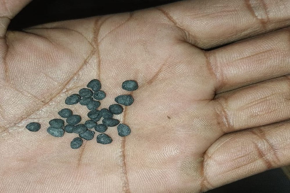 किसान ओरिजनल की जगह डुप्लीकेट खाद खरीदने को मजबूर 1 5A 15 किसान ओरिजनल की जगह डुप्लीकेट खाद खरीदने को मजबूर