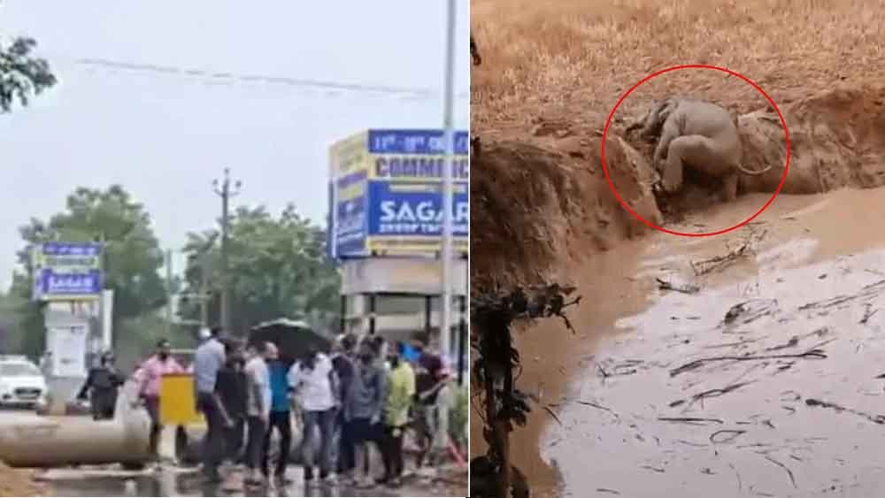 छत्तीसगढ़-रायगढ़ में गड्ढे में घंटों फंसा रहा हाथी का बच्चा, ग्रामीणों ने बचाई जान 1 Chhattisgarh 03 1 1 छत्तीसगढ़-रायगढ़ में गड्ढे में घंटों फंसा रहा हाथी का बच्चा, ग्रामीणों ने बचाई जान