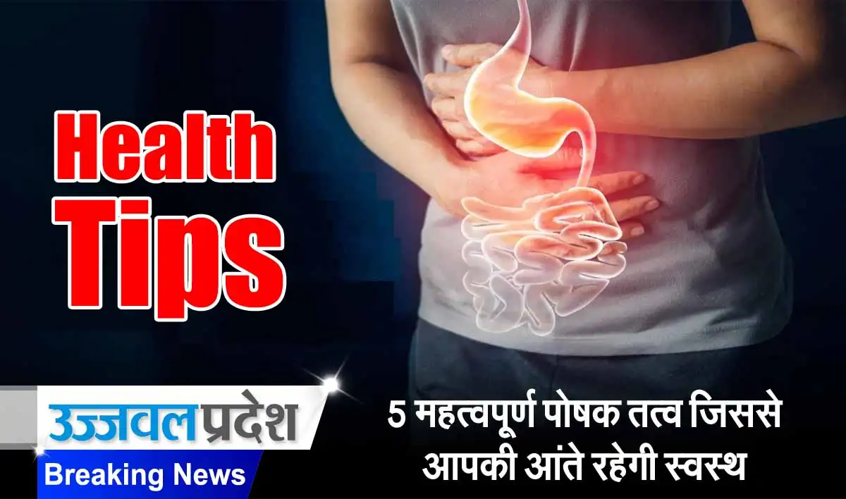 Health Tips: 5 महत्वपूर्ण पोषक तत्व जिससे आपकी आंते रहेगी स्वस्थ 1 Health Tips