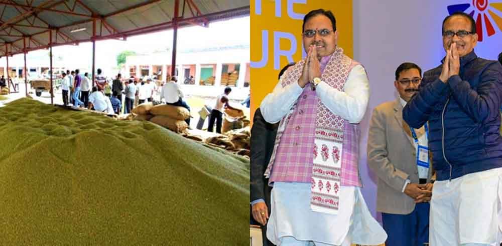 राजस्थान-मुख्यमंत्री ने केन्द्रीय कृषि मंत्री को लिखा पत्र, मूंग का खरीद लक्ष्य और अवधि बढ़ाएं 1 Rajasthan 01 1 20 राजस्थान-मुख्यमंत्री ने केन्द्रीय कृषि मंत्री को लिखा पत्र, मूंग का खरीद लक्ष्य और अवधि बढ़ाएं