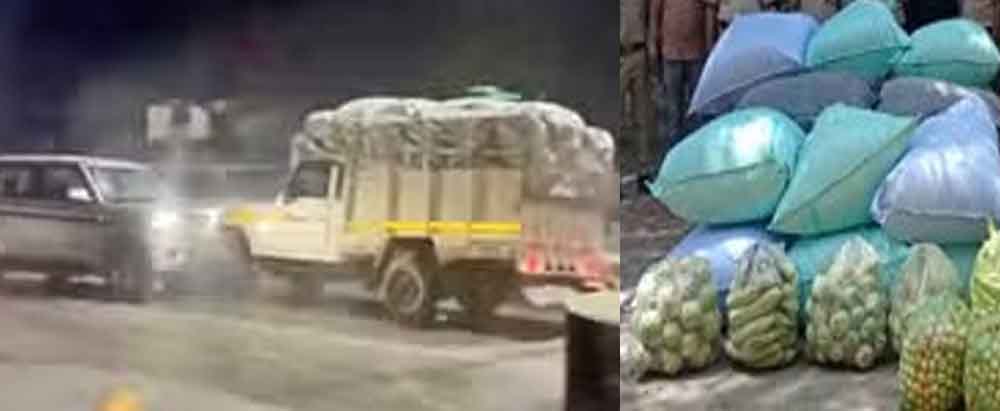 राजस्थान-कोटा की नारकोटिक्स टीम ने ड्रग तस्करों को चित्तौड़गढ़ में पकड़ा, 911 किलो डोडा चूरा बरामद 1 Rajasthan 09 1 राजस्थान-कोटा की नारकोटिक्स टीम ने ड्रग तस्करों को चित्तौड़गढ़ में पकड़ा, 911 किलो डोडा चूरा बरामद