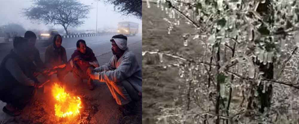 राजस्थान में शीतलहर के कहर से सीकर-चूरू में जमी बर्फ, 5 दिनों में और तीखे होंगे तेवर 1 Rajasthan 10 1 6 राजस्थान में शीतलहर के कहर से सीकर-चूरू में जमी बर्फ, 5 दिनों में और तीखे होंगे तेवर