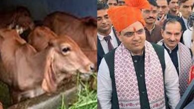 Rajasthan 13 1 3 राजस्थान-जयपुर में गौवंश में अंधता निवारण पर कार्यशाला, सांगानेर की पिंजरापोल गौशाला में आयोजन