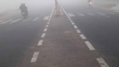 cold एमपी में सर्द हवाओं से बढ़ी ठिठुरन, कोल्ड वेव का अलर्ट जारी