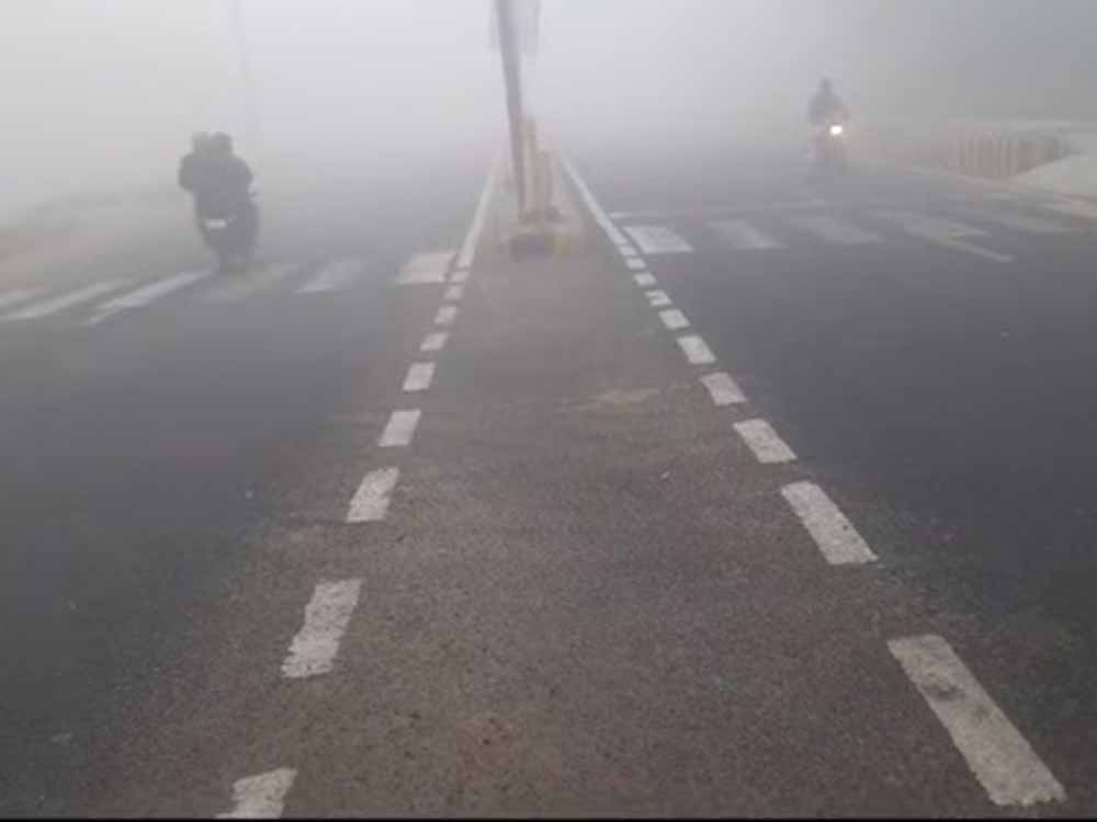 cold एमपी में सर्द हवाओं से बढ़ी ठिठुरन, कोल्ड वेव का अलर्ट जारी