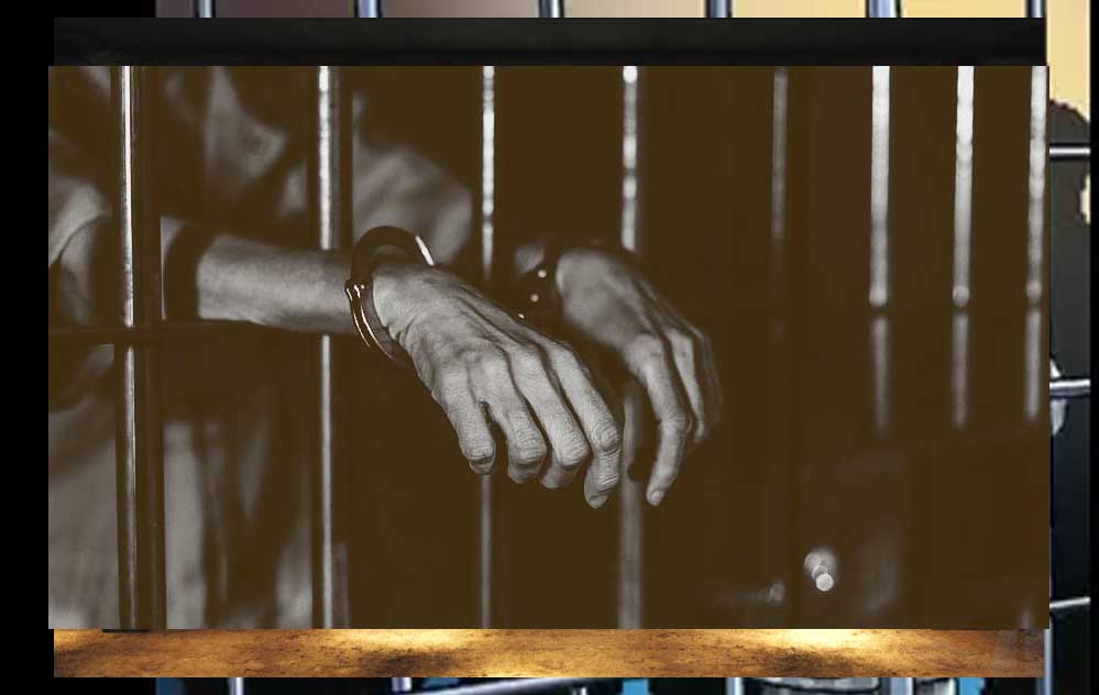 वन्य-प्राणियों का शिकार करने वाले आरोपियों को 3-3 वर्ष का सश्रम कारावास 1 jail132 7 वन्य-प्राणियों का शिकार करने वाले आरोपियों को 3-3 वर्ष का सश्रम कारावास