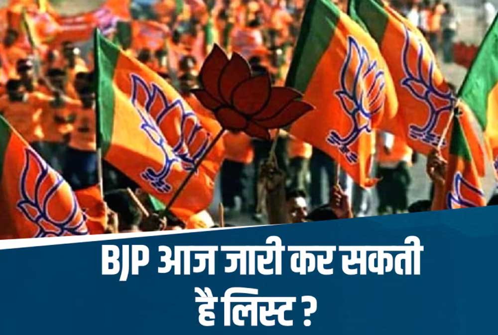मध्य प्रदेश में भाजपा के 40 जिला अध्यक्षों की घोषणा आज संभव 1 1 185 मध्य प्रदेश में भाजपा के 40 जिला अध्यक्षों की घोषणा आज संभव