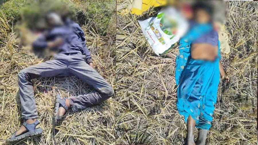 जमीन विवाद को लेकर पत्रकार के मां, पिता और भाई की हत्या 1 1 336 जमीन विवाद को लेकर पत्रकार के मां, पिता और भाई की हत्या