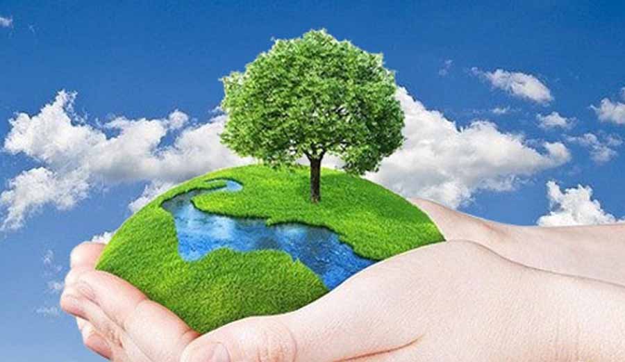 प्रकृति प्रेम है तो वन सेवा में जाइए 1 1 434 प्रकृति प्रेम है तो वन सेवा में जाइए
