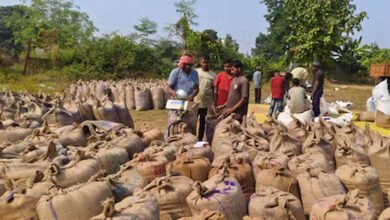 16A116 अब तक खरीदी गई 40 लाख मीट्रिक टन से अधिक धान