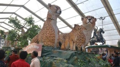23A 41 देश की राजधानी में गणतंत्र दिवस परेड में 'चीता द प्राइड ऑफ इंडिया' की थीम पर केंद्रित होगी मध्य प्रदेश की झांकी