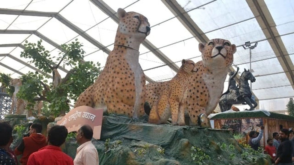 देश की राजधानी में गणतंत्र दिवस परेड में 'चीता द प्राइड ऑफ इंडिया' की थीम पर केंद्रित होगी मध्य प्रदेश की झांकी 1 23A 41 देश की राजधानी में गणतंत्र दिवस परेड में 'चीता द प्राइड ऑफ इंडिया' की थीम पर केंद्रित होगी मध्य प्रदेश की झांकी