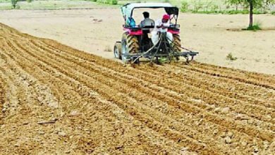 28A 10 CG News: छत्तीसगढ़ में 17.46 लाख हेक्टेयर में रबी फसलों की बोनी