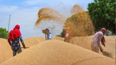 30A 133 गेहूँ उपार्जन के लिये 31 मार्च तक होगा पंजीयन-खाद्य मंत्री राजपूत