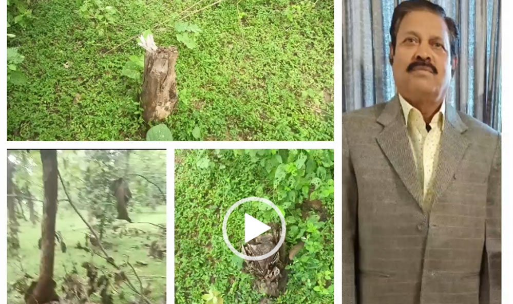 छतरपुर में देर रात डिप्टी रेंजर रवि खरे को अवैध वन कटाई मामले में निलंबित किया 1 4A 22 छतरपुर में देर रात डिप्टी रेंजर रवि खरे को अवैध वन कटाई मामले में निलंबित किया