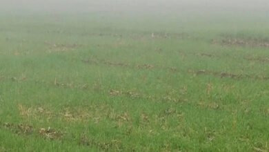 5 A44 भारतीय मौसम विभाग के अनुसार जनवरी से मार्च तक मावठा वर्षा की संभावना