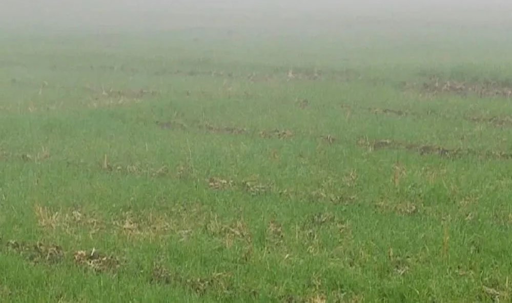 भारतीय मौसम विभाग के अनुसार जनवरी से मार्च तक मावठा वर्षा की संभावना 1 5 A44 भारतीय मौसम विभाग के अनुसार जनवरी से मार्च तक मावठा वर्षा की संभावना