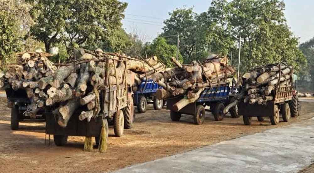 छत्तीसगढ़-बालोद में वन विभाग का ताबड़तोड़ एक्शन, अवैध लकड़ी परिवहन करते आठ ट्रैक्टर जब्त 1 Cg 02 1 1 छत्तीसगढ़-बालोद में वन विभाग का ताबड़तोड़ एक्शन, अवैध लकड़ी परिवहन करते आठ ट्रैक्टर जब्त