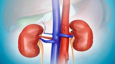Health Tips For Kidney