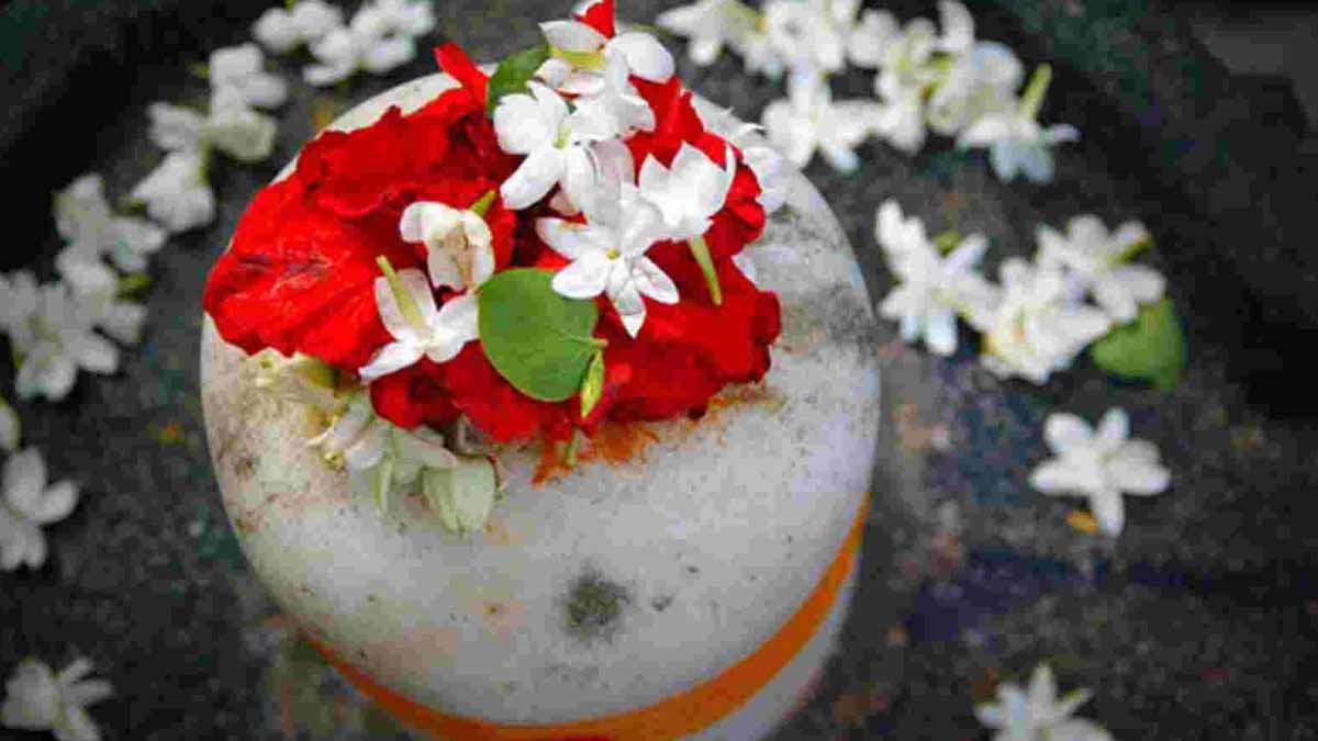 Astrology Tips: चमेली के फूल की माला भगवान शिव को अर्पित करें, सुख और शांति मिलेगी 1 Lord Shiva Jasmine Flower