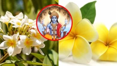Lord vishnu