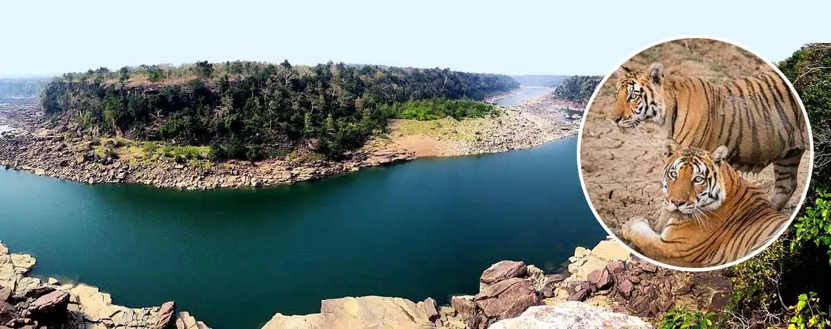 MP News: केन-बेतवा नदी के कटाव से पन्ना में वन्यजीवों पर संकट 1 MP News Ken Betwa Project