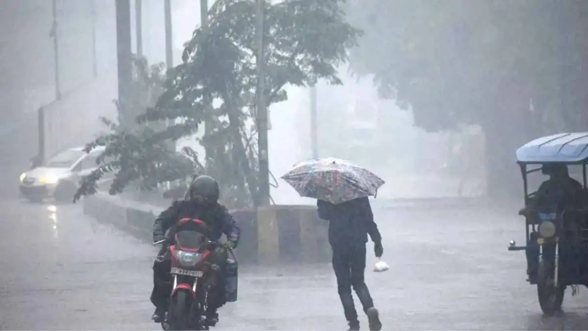 MP Weather: एमपी में कड़ाके की ठंड, भोपाल समेत 30 जिलों में बारिश का अलर्ट 1 MP Weather