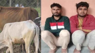Rajasthan 01 1 4 राजस्थान-जोधपुर में गौवंश का काटा सिर, पुलिस ने दो आरोपियों को किया गिरफ्तार