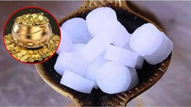 Vastu Tips For Camphor