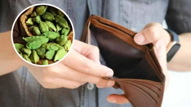 Vastu Tips For Purse