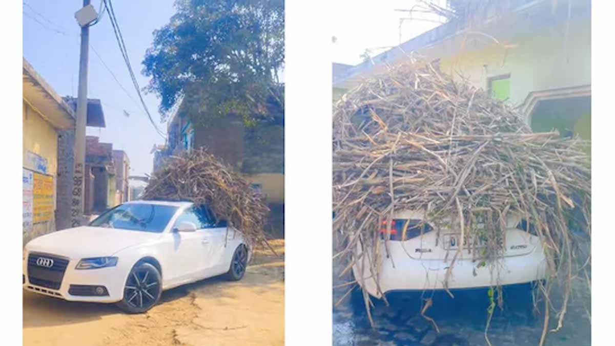 ऑडी को बना दिया मालगाड़ी, देखे Viral Video.. 1 audi car viral video