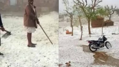 cold राजसमंद के कुंभलगढ़ में सर्दी का प्रकोप, खेतों में बिछी बर्फ की चादर