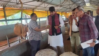 govans गोवंश के आहार में हरा चारा और साइलेज को शामिल करें : मंत्री पटेल
