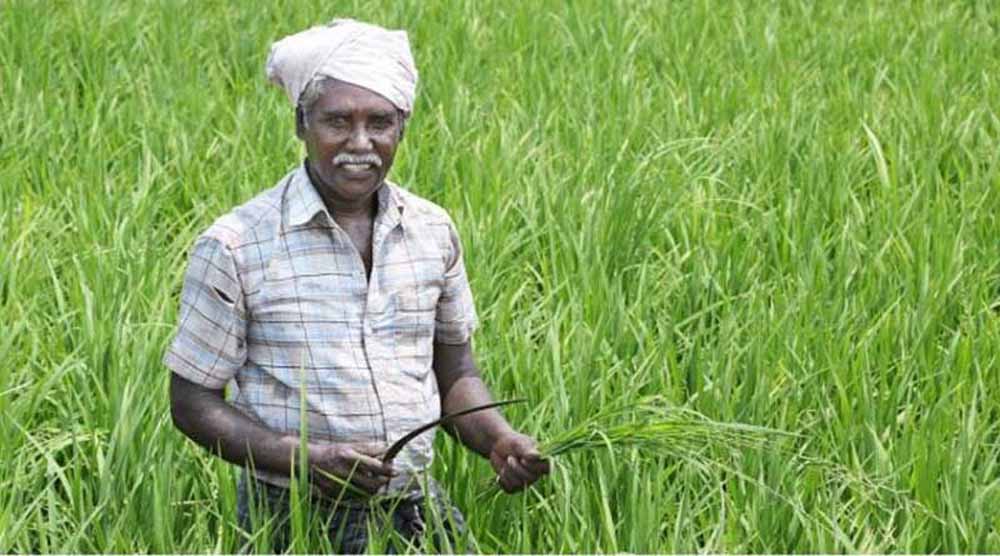 किसानों को मिल रहा है कृषक प्रशिक्षणों का लाभ 1 kisan 5 किसानों को मिल रहा है कृषक प्रशिक्षणों का लाभ