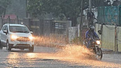 rain A 36 3 Bhopal News: मध्यप्रदेश में जनवरी में चौथी बार गिरेगा मावठा, भोपाल-इंदौर समेत 15 जिलों में कल से बदलेगा मौसम