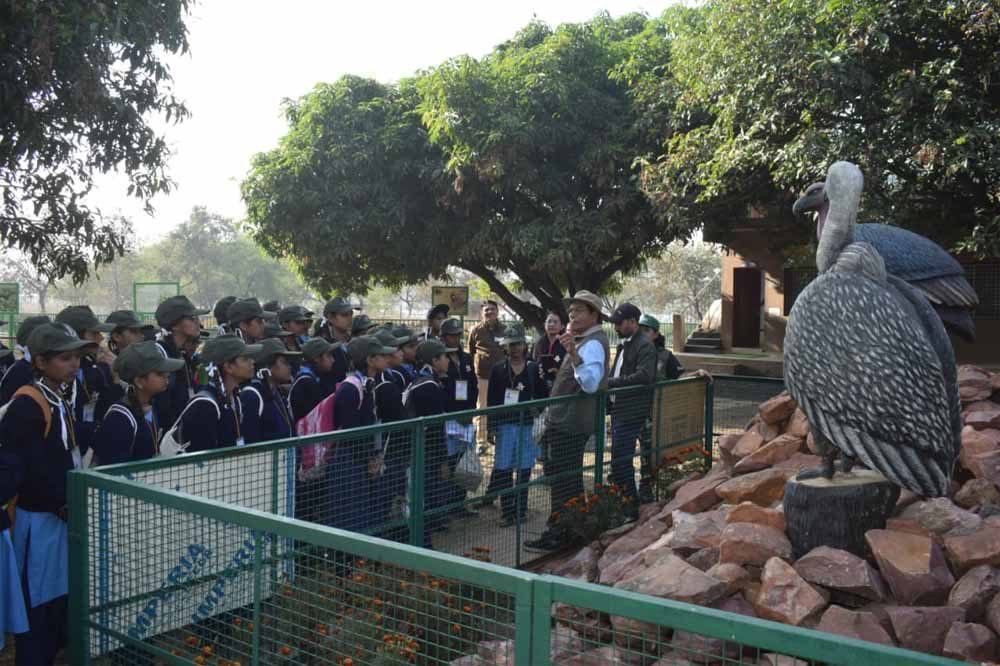वन विहार राष्ट्रीय उद्यान में नेचर कैम्प 1 van 3 वन विहार राष्ट्रीय उद्यान में नेचर कैम्प