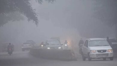 winter 48 4 1 मकर संक्रांति पर मध्यप्रदेश में कोहरे का असर, भोपाल, ग्वालियर समेत 20 से ज्यादा जिलों में कोहरा छाया