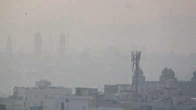 winter 80 3 4 Bhopal News: मध्यप्रदेश में 2 फरवरी से ठंड का असर फिर बढ़ेगा, रात का पारा 3 डिग्री तक लुढ़केगा