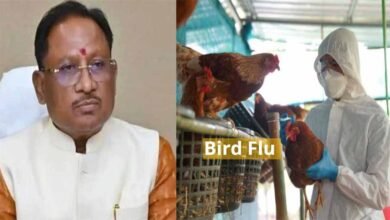 1 23 मुख्यमंत्री ने बर्ड फ्लू की रोकथाम के लिए कलेक्टरों को दिए दिशा निर्देश