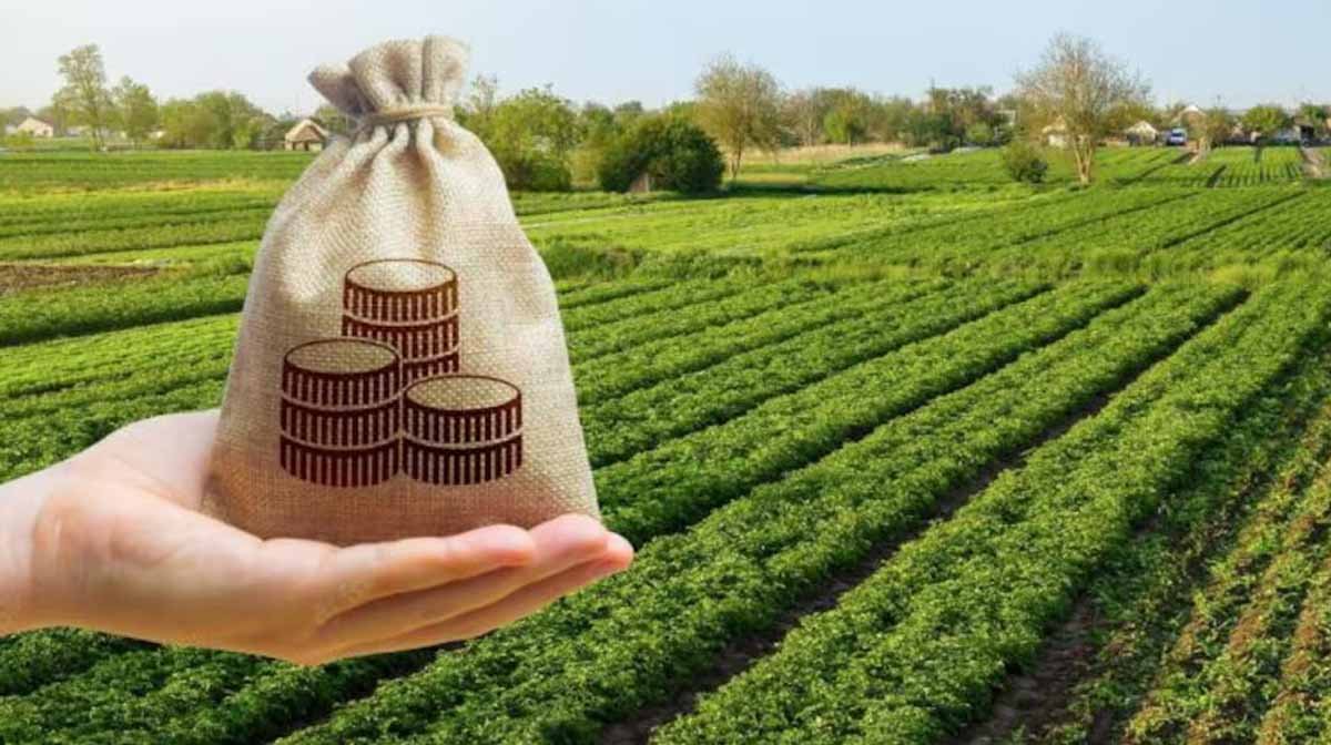 Bhopal News: एग्रीकल्चर इंफ्रास्ट्रक्चर फंड स्कीम में कृषकों को 3% ब्याज की छूट 1 Agriculture Infrastructure Fund Scheme