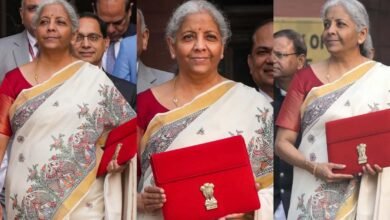 Budget 2025 Nirmala Sitharaman seen Mithila art sari