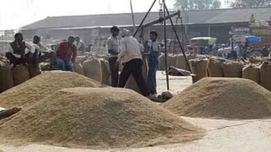 Cg 07 1 छत्तीसगढ़-धान खरीदी में 149 लाख मीट्रिक टन धान की खरीदी, पिछले साल का टूटा रिकॉर्ड