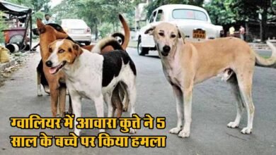 Gwalior News For Dog Bite