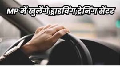 MP News