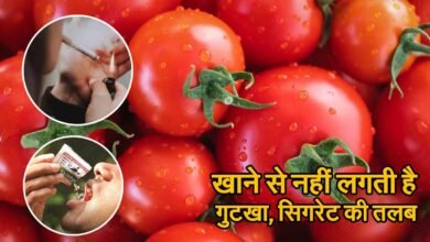 Nicotine in Tomatoes