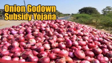 Onion Godown Subsidy Yojana
