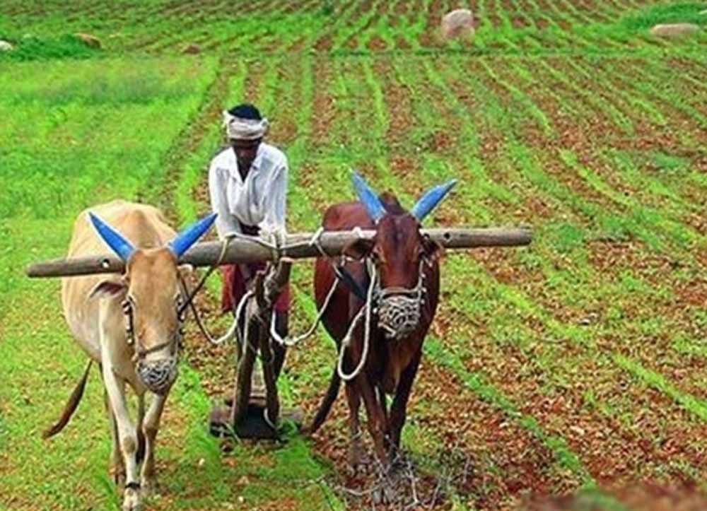 केंद्रीय वित्त मंत्री द्वारा प्रस्तुत बजट किसानों के सशक्तीकरण का माध्यम बनेगा, ऐसे होगा फायदा 1 kisan केंद्रीय वित्त मंत्री द्वारा प्रस्तुत बजट किसानों के सशक्तीकरण का माध्यम बनेगा, ऐसे होगा फायदा